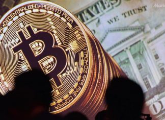 perform bitcoin trading